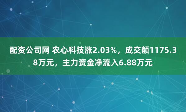 配资公司网 农心科技涨2.03%，成交额1175.38万元，主力资金净流入6.88万元